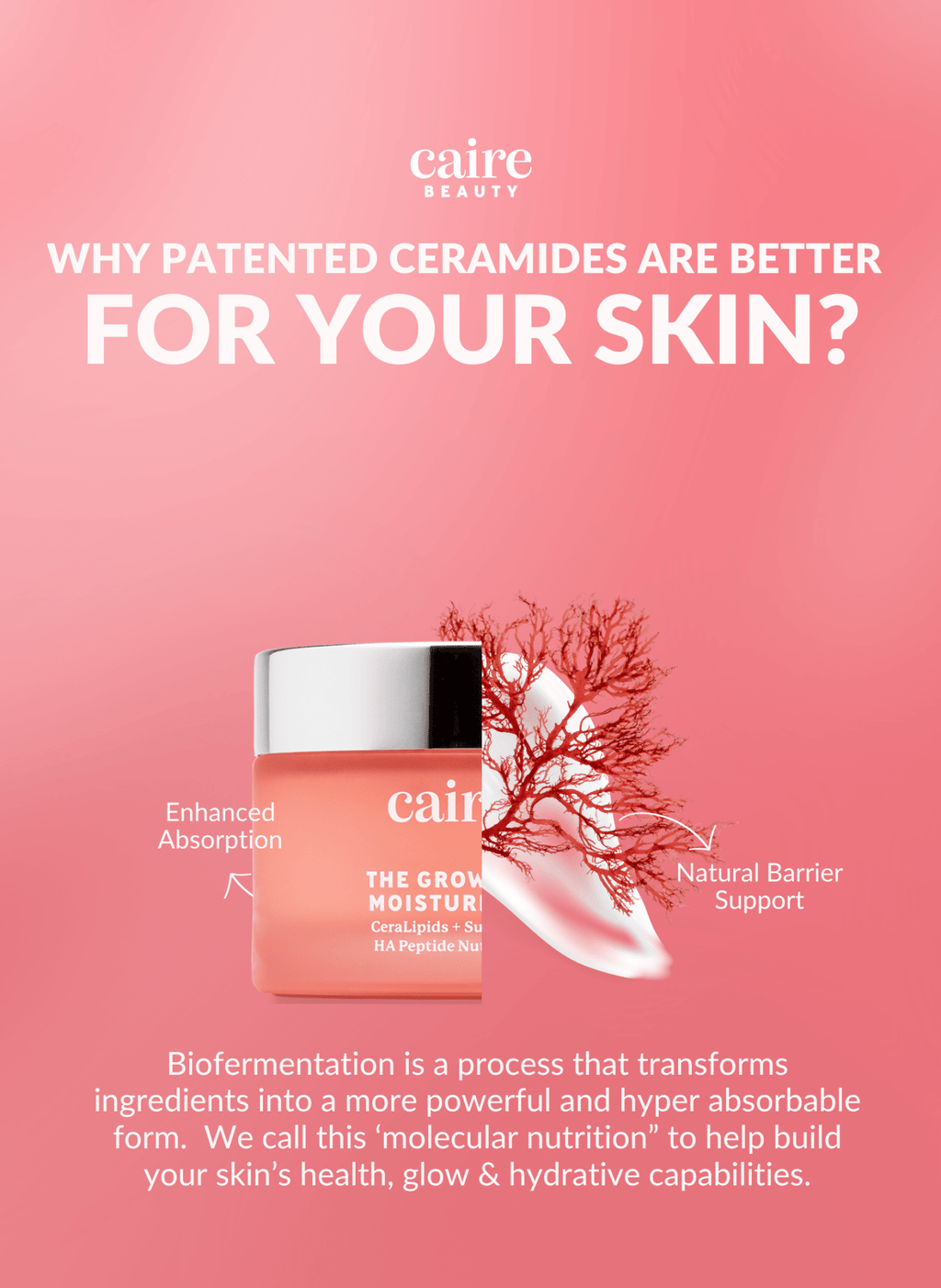 Best Moisturizer for Mature Skin - Wrinkle Wizard